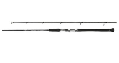 Shimano 22 Ocea Plugger Flex drive S83MH Offshore Spinning