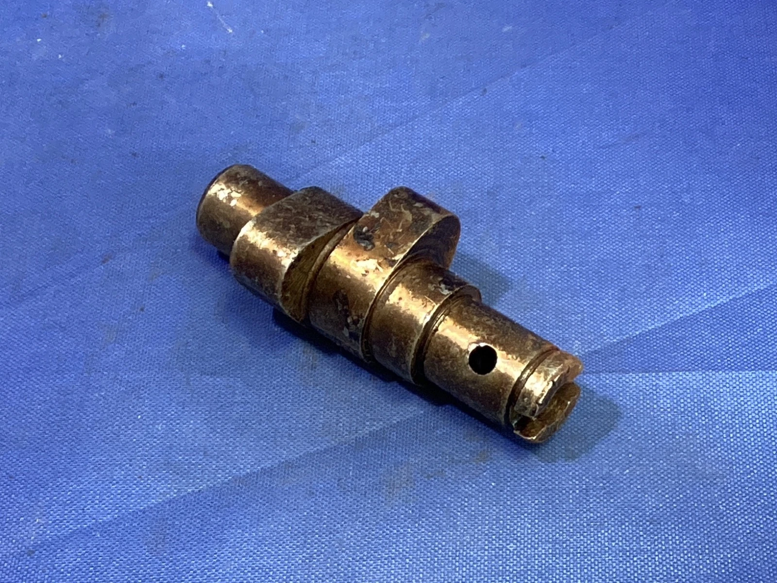 t20 tiger cub breathing