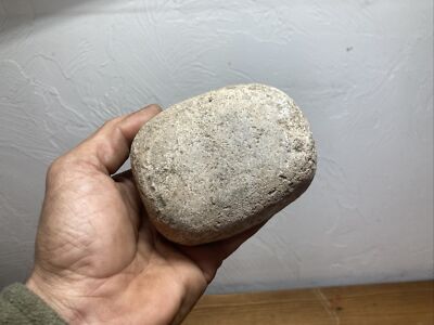 Mineral Artifacts Lot # 3 From Local Archaeologists Unknown Item￼
