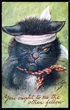 Artist- ARTHUR THIELE Postcard 1910s Humor Dressed Cat
