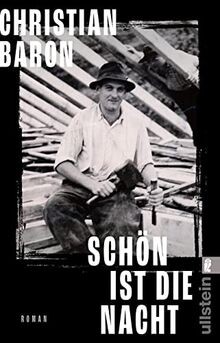 Schön ist die Nacht: Roman | »Ein fulminanter Roman.« El... | Buch | Zustand gut