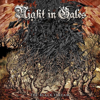 Night in Gales The Black Stream (CD) Album