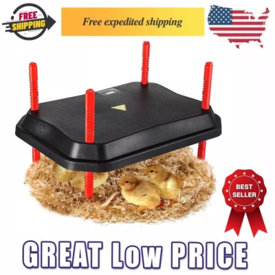 Chick Brooder Heater Plate with LCD Display, 12'' X 16'' 50W for 30 Chicks Large C