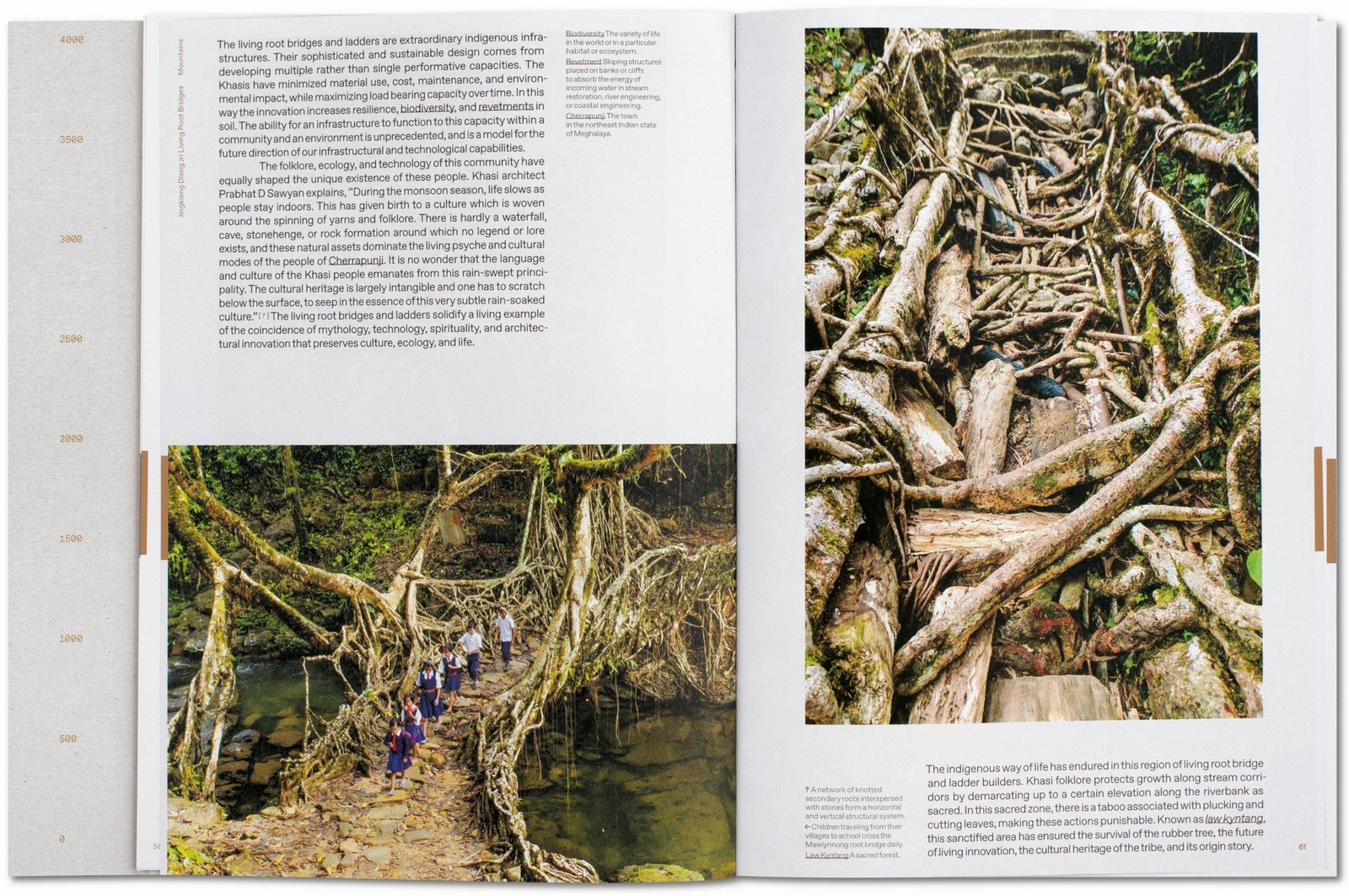 Thumbnail - Julia Watson. Lo-tek. Design By Radical Indigenism Julia Watson Buch