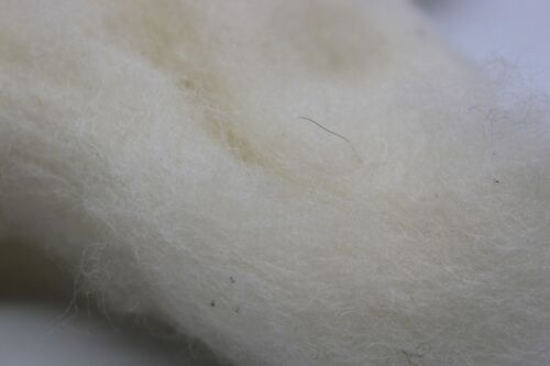 Natural Wool Roving Top For Needle Felting Hand Spinning DIY Crafts -- CHOICE - Picture 49 of 462