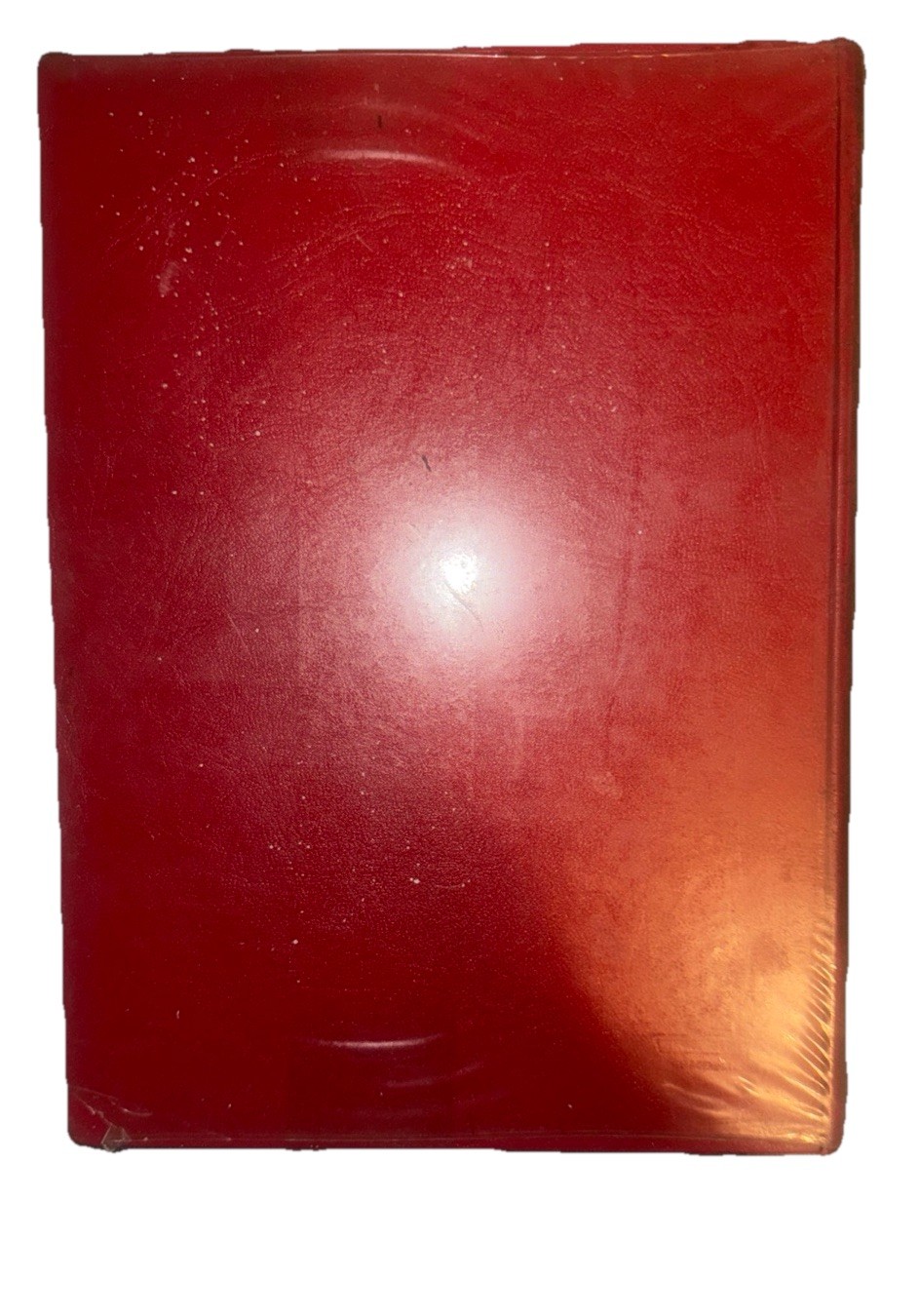 Foto 11 di 11
