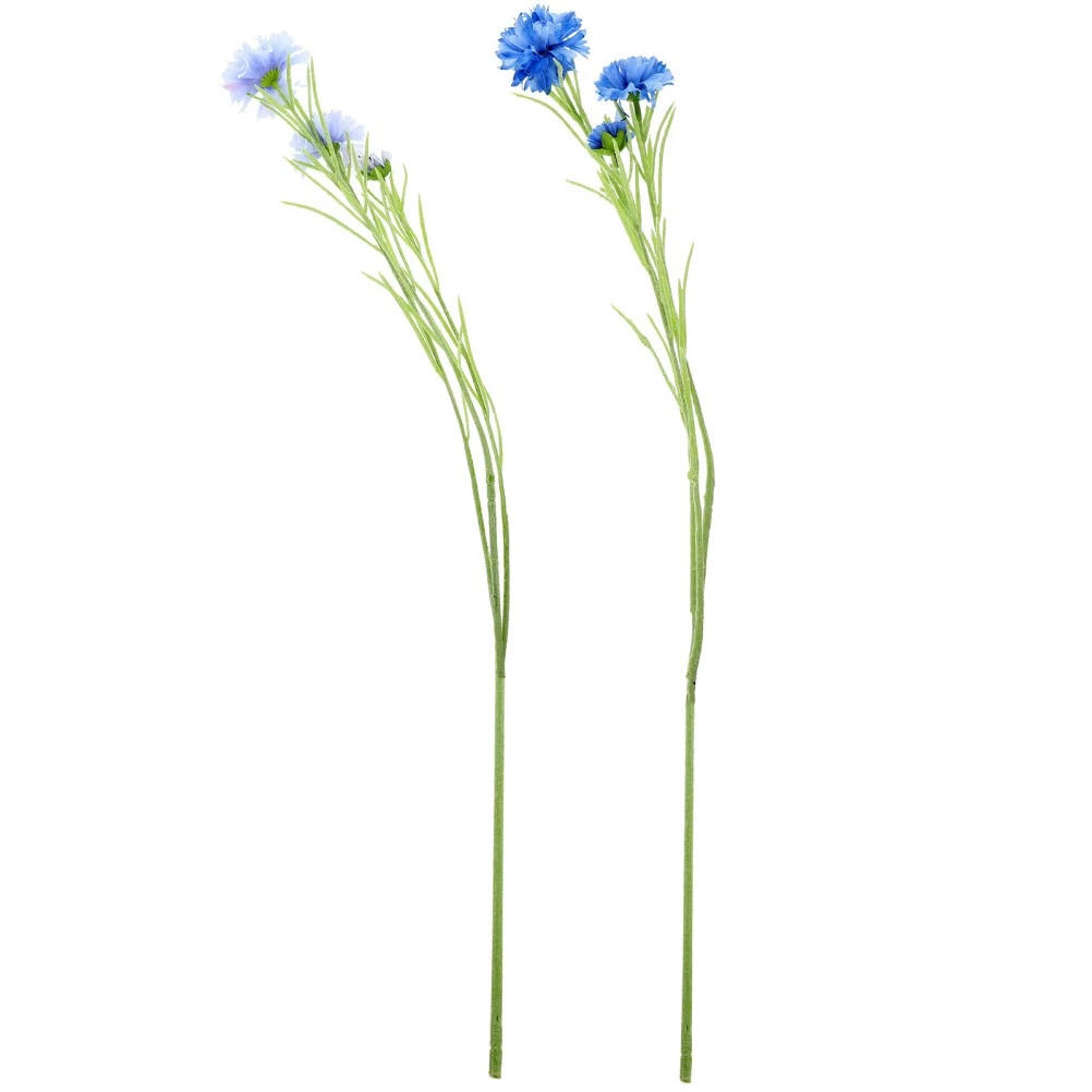Deko-Kornblumen online kaufen | eBay.de