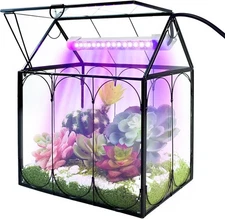 Plant Terrarium Kit with Grow Light, Rifny Small Glass Terrarium Jar with Absorb