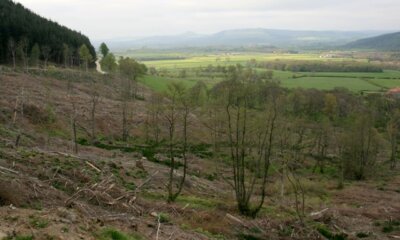 Foto 6x4 Jüngste Fällungen Flugzeug Hügel Urra Jüngste Fällungen haben sich eröffnet th c2007