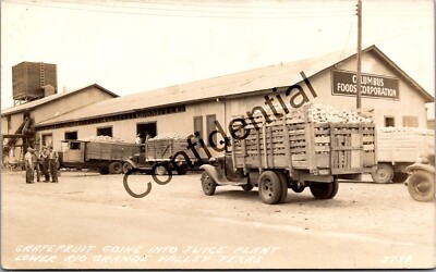 Real Photo Grapefruit Trucks Juice Plant Lower Rio Grande Valley Texas RPPC M366