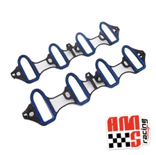 LS Truck Intake Manifold Gaskets (Pair) for Cathedral Port 4.8 5.3 6.0