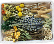 DIY Natural Dried Flower Set, Bulk Dried Flowers for Vase, Dried Flowers with St