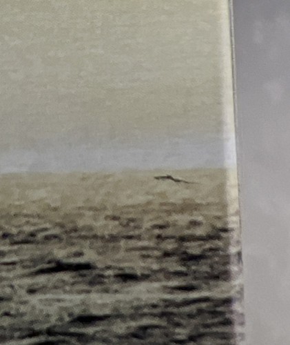 INTERSTELLAR Limited Edition Steelbook (4K UHD+Blu-ray) + Digital Copy - Imagen 7 de 8