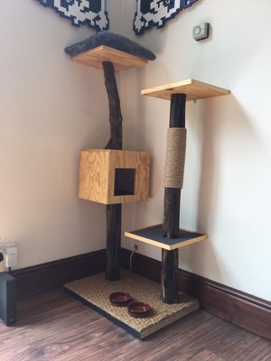 natural wood cat scratching post