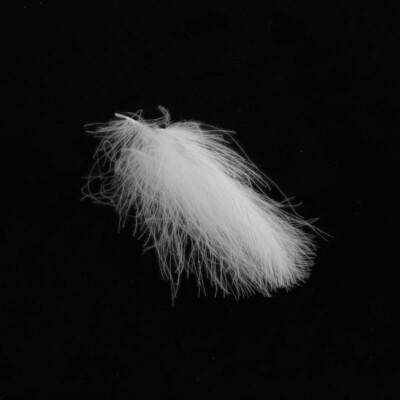 CDC Federn HENDS 25 selektierte Federn 12 Farben CDC Select Dry Fly MeFo Nymph