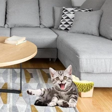 Durian Cat Brush, Dog Cat Self Groomer, Wall Corner Scratcher Massage Combs Duri