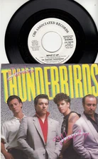 THE FABULOUS THUNDERBIRDS - WRAP IT UP - PROMO 45 WPS - GREAT SHAPE