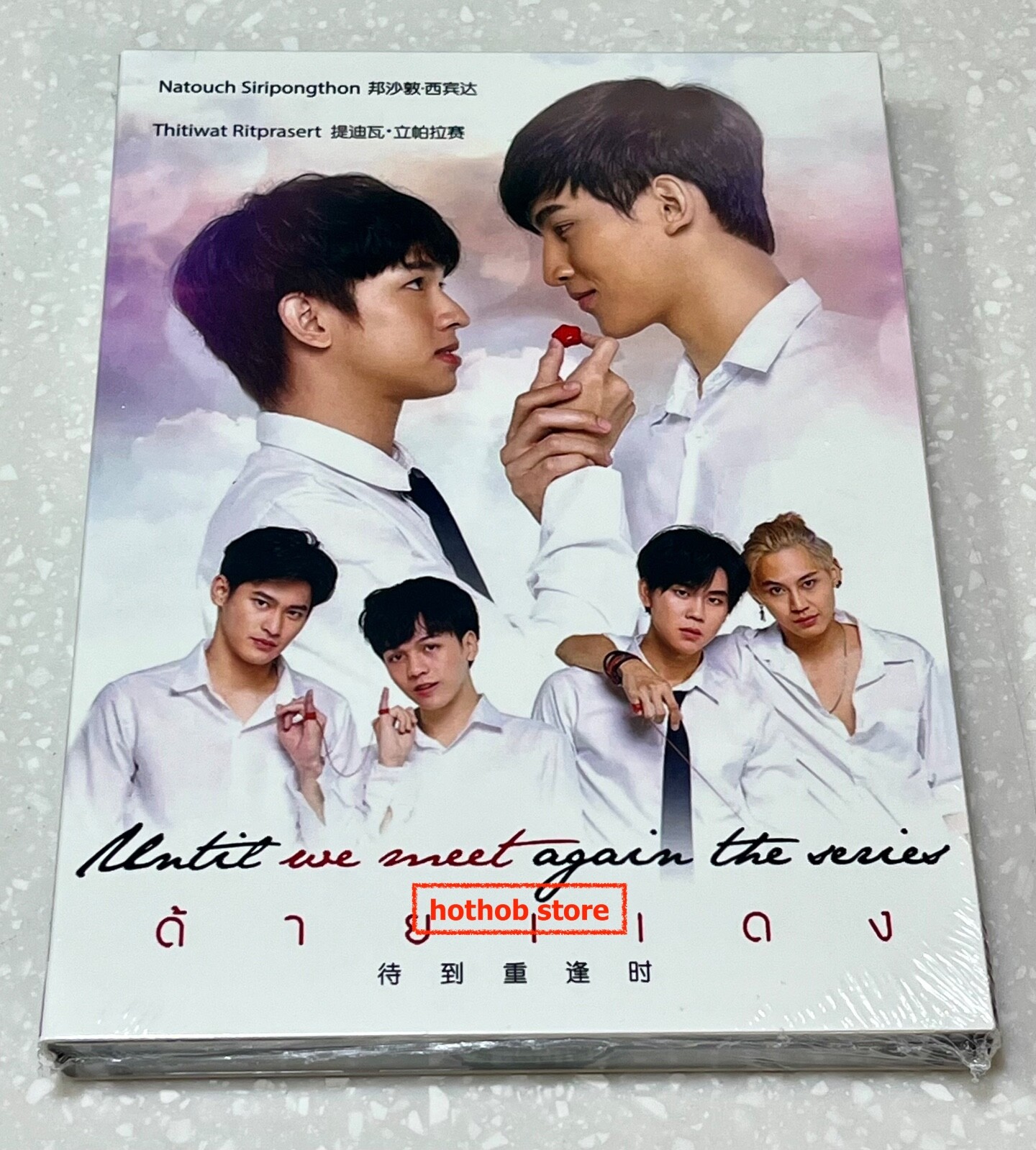 Until We Meet Again (VOL.1 - 17 End) ~ English Subtitle ~ BL Thai Drama ~ DVD