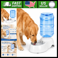 Pet Water Dispenser Station for Large Dogs and Cats 3 Gallon Gravity Fountain