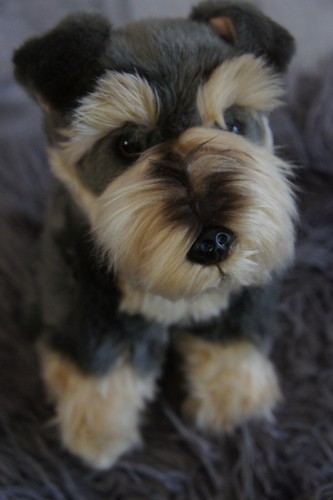 STUNNING REALISITC SCHNAUZER HAND MADE PLUSH TOY DOG APPROX 12"