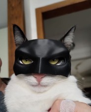 Bat-Cat Mask for Pets   Funny Batman Style Costume for Cat or Small Dog Fox