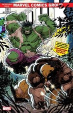The Incredible Guide to Collecting The Hulk 63
