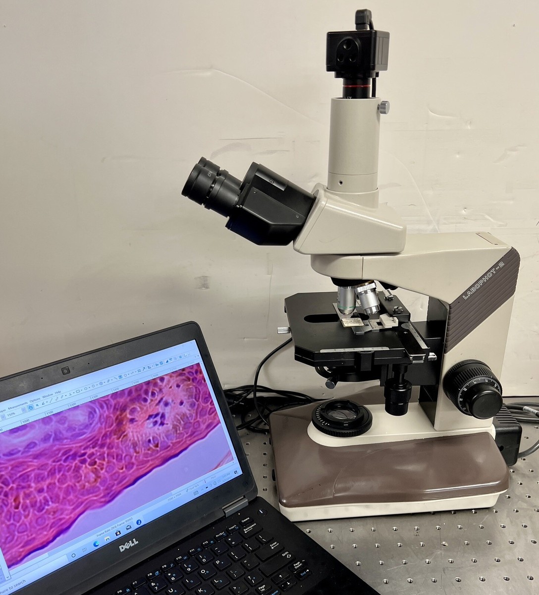 Nikon Labophot 2 Trinocular Microscope with 5MP Camera | eBay Nikon Labophot 2 Trinocular Microscope with 5MP Camera | eBay