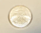 2004 AMERICAN SILVER EAGLE* 1 TROY OUNCE OF .999 SILVER
