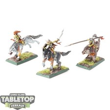 Gloomspite Gitz - Snarlboss e Wolfgit Retinue - dipinto