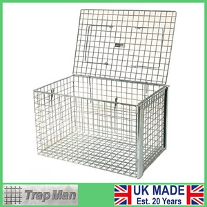 wire cat crate