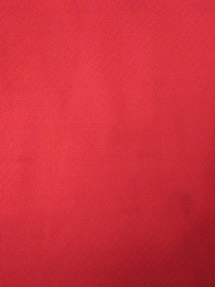 Camiseta deportiva de práctica vintage CCM de Brendan Shanahan Detroit Red Wings NHL para hombre talla L Foto 2 de 4