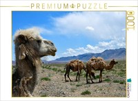 Calvendo Puzzle Kamele, Kotschkor, Kirgisistan 1000 Teile Puzzle Quer | 1000 Tei