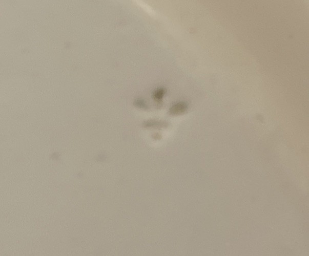 Picture 15 of 23