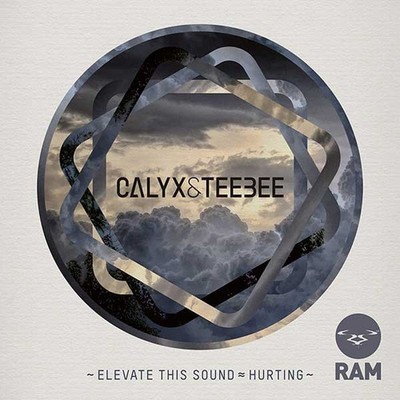 Calyx  TeeBee - Elevate This Sound / Hurting - Used Vinyl Record 12 - F4593z