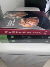 netter Gray. L'anatomia: Anatomia del Gray-Atlante di anatomia umana di Netter 