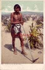 1908 "THE MAN WITH THE HOE" MOKI PUEBLO in field of maize Detroit Publishing Co