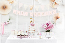 Just Married Wedding Bunting Decor - Mr & Mrs Car Banner Decorations