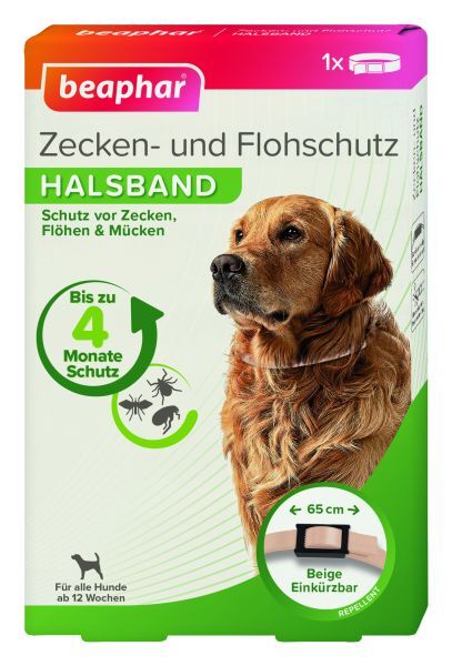 Bild 1 von 2