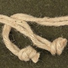 Bild 7 von 8