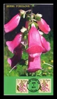 Dr Jim Stamps Bgc Cachet Foxglove Herbs First Day Cover