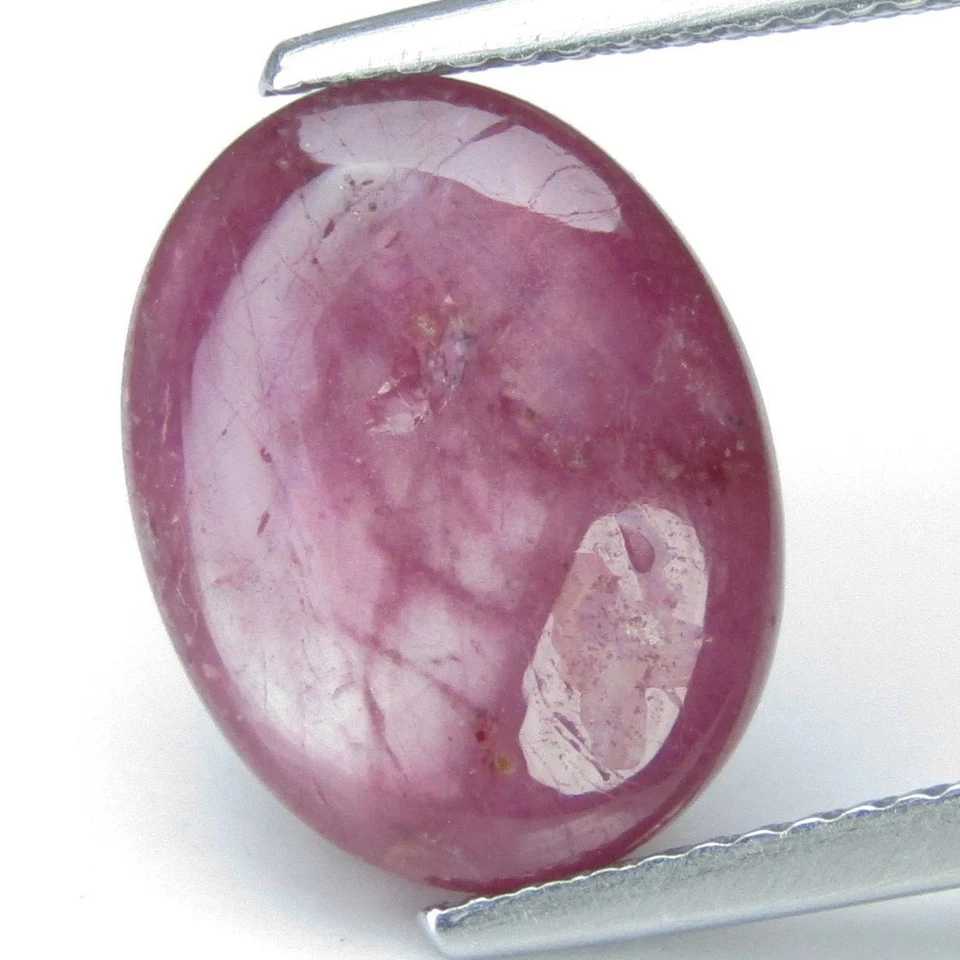 7.61Cts Stunning Natural Ruby 13.5x10.4mmOval Cabochon Collection Loose Gemstone - Image 4 of 4