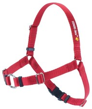 Sense-Ation Harness Sense-Ible No-Pull Dog - Red Medium Standard,