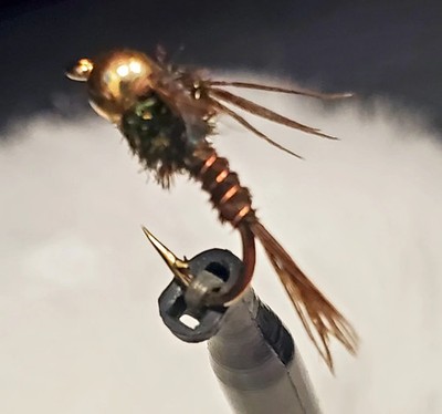 Bead Head Pheasant Tail Selection, Bead Head Pheasant Tail- ONE DOZEN