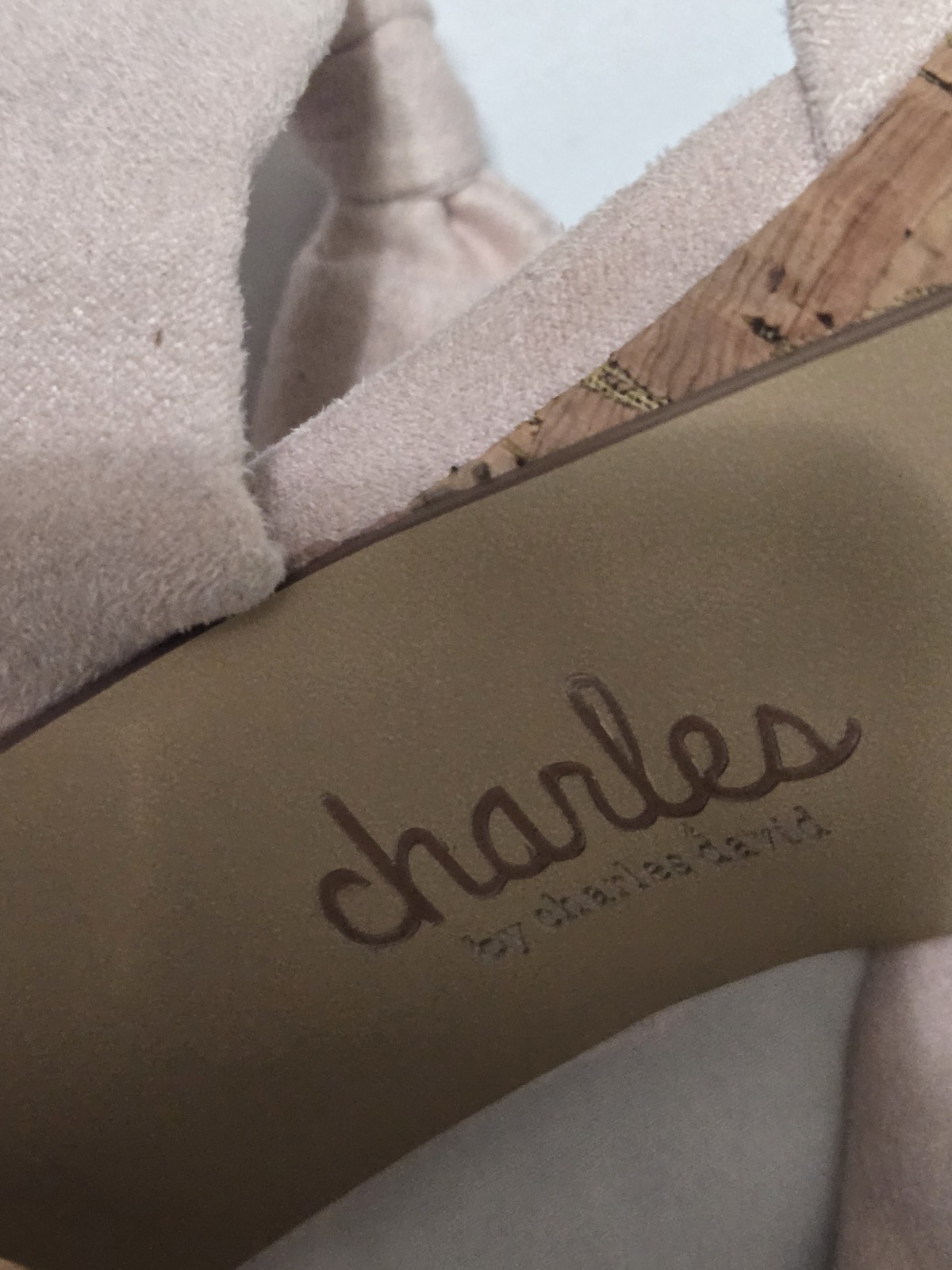 Charles by Charles David INTUIT SANDAL Platform Chunky Heel Blush Pink Women’s 7