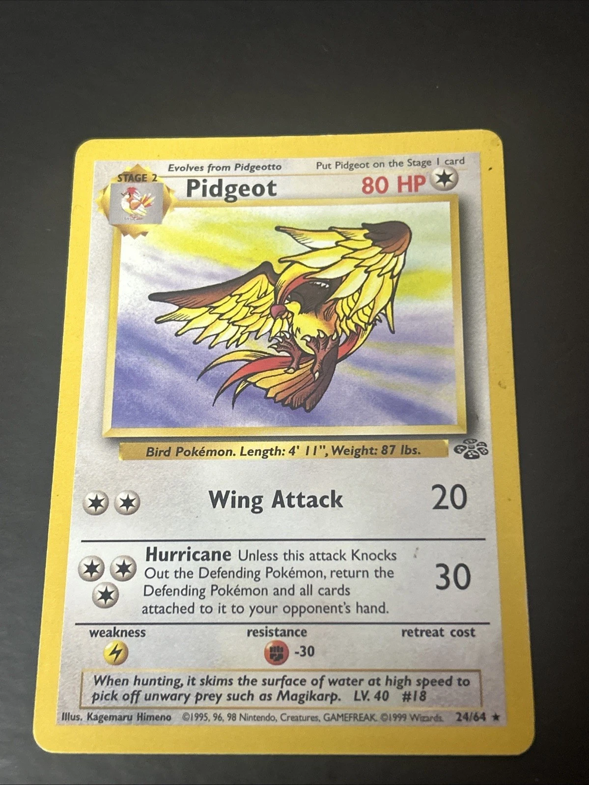 Pokemon Card Pidgeot 24/64 1999 Jungle Non-Holo Rare #1