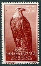 SPANISH SAHARA 1957 5c+5c SG136 MNH FG Child Welfare Fund Golden Eagle ##W49