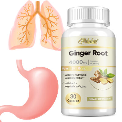 Ginger Root 4000mg - Highest Potency Supplement, Digestive Health, Immune Health