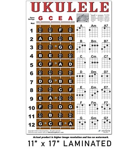 Laminated Ukulele Fretboard Notes & Easy Beginner Chord Chart 11"x17" - Picture 4 of 8