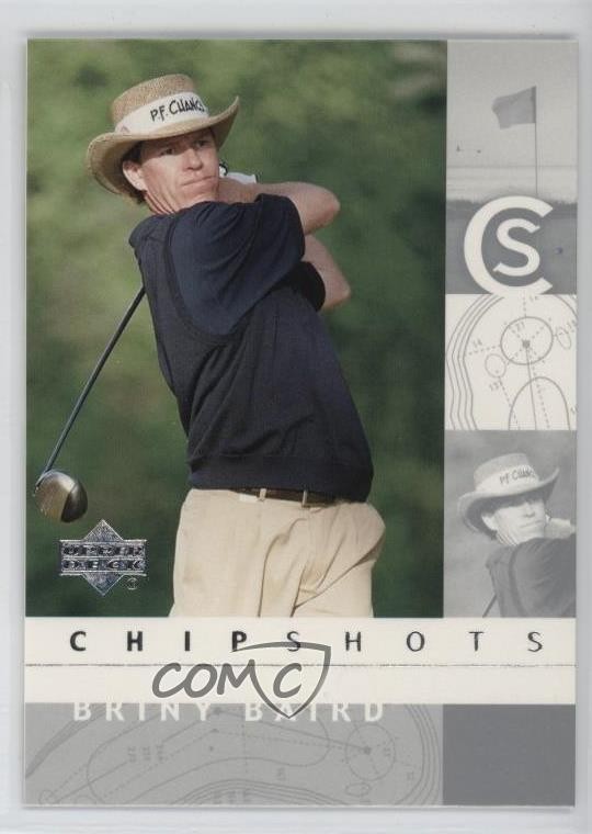 2002 Upper Deck Chipshots Silver Briny Baird #91 Rookie RC t2b