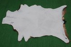 GOAT Western taxidermy Hide Rug Natural Pattern Fur Goat Hide Rode SA-3910 — photo 2